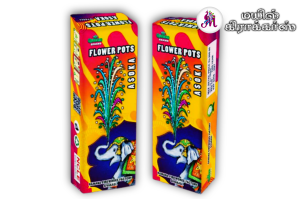 FLOWER POTS ASHOKA(10pcs)